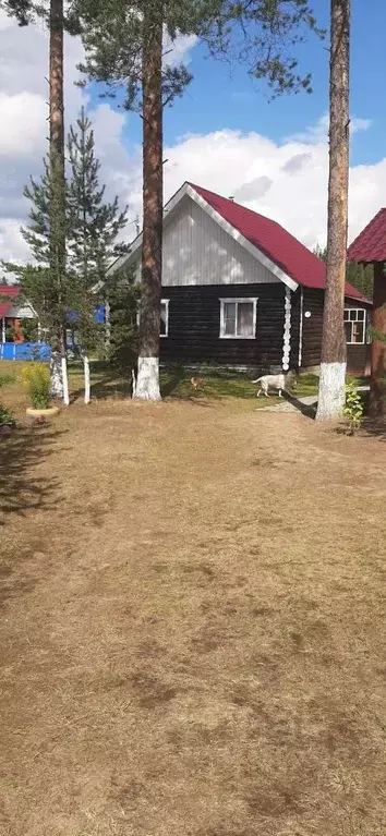 Дом в Коми, Сыктывкар городской округ, Седкыркещ пгт ул. Янтарная, ... - Фото 1
