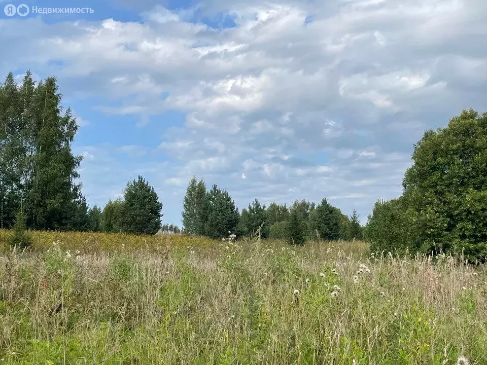 участок в рощинское сельское поселение, деревня байнёво, береговая . - Фото 1