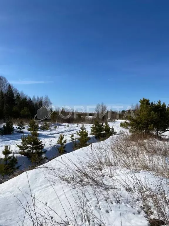 Участок в Тюменская область, Нижнетавдинский район, д. Штакульская  ... - Фото 0