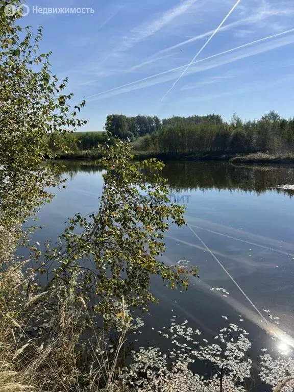 Участок в Нижегородская область, Богородский муниципальный округ, село ... - Фото 1