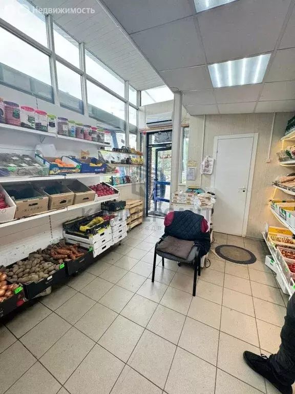 Помещение свободного назначения (28 м) - Фото 2