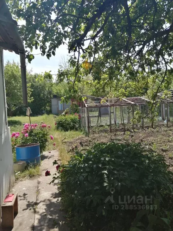 Дом в Орловская область, Орел Приборист-2 СНТ,  (18 м) - Фото 1
