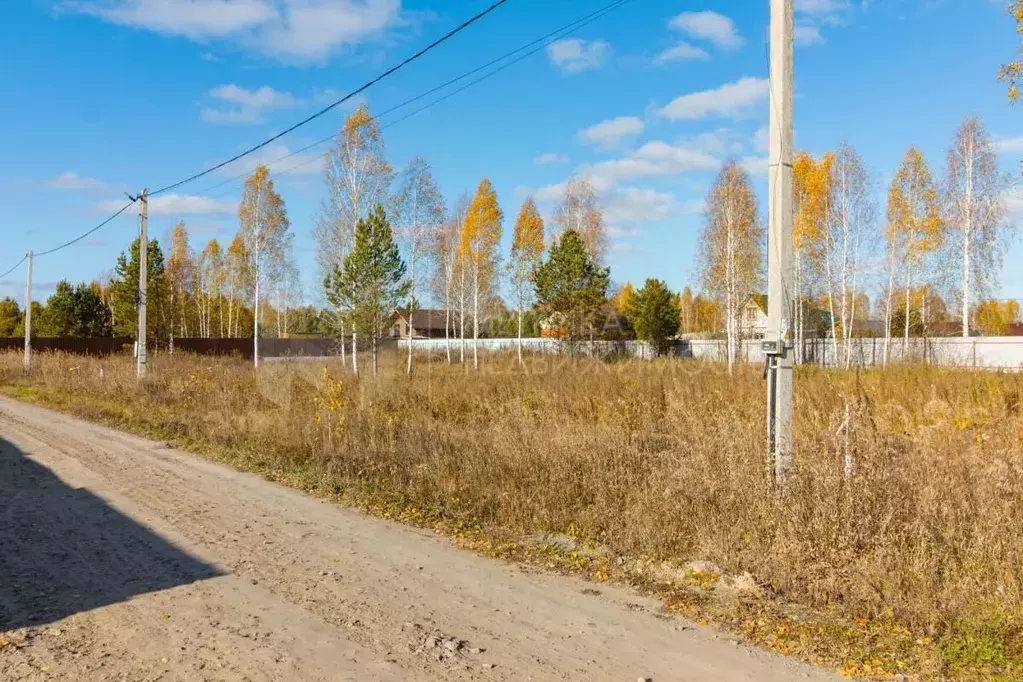Участок в Тюменская область, Нижнетавдинский муниципальный округ, ... - Фото 1