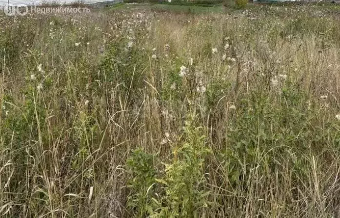 Участок в село Ярково, Советская улица (7.55 м) - Фото 2