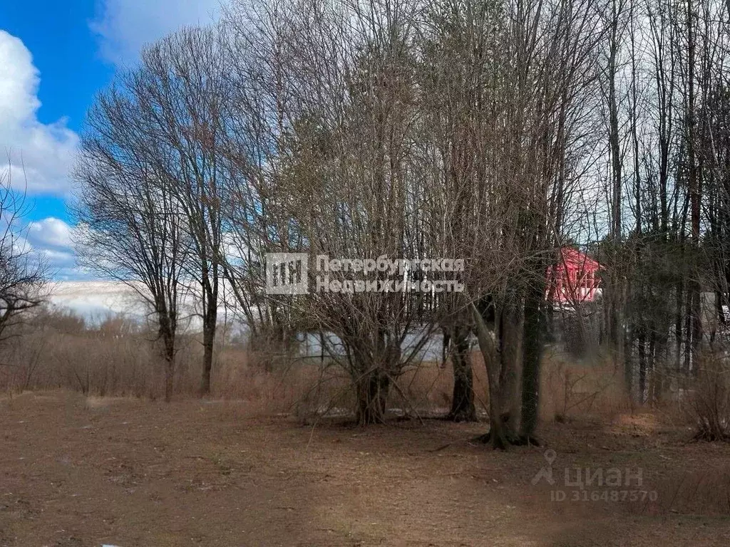 Участок в Ленинградская область, Приозерский район, Раздольевское ... - Фото 0