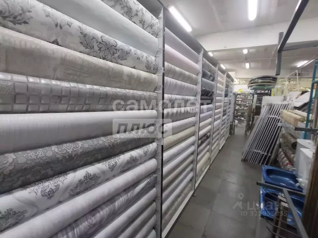 Помещение свободного назначения в Калужская область, Боровск ул. ... - Фото 2