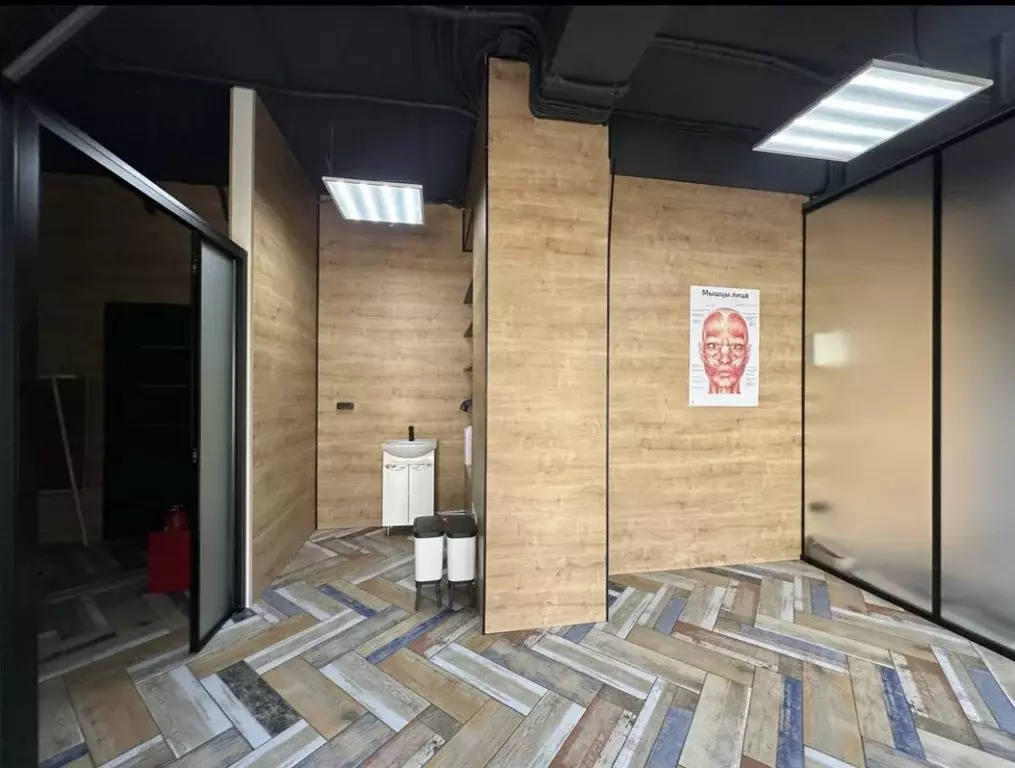 Офис в Краснодарский край, Сочи Центральный мкр, ул. Северная, 12к2 ... - Фото 2