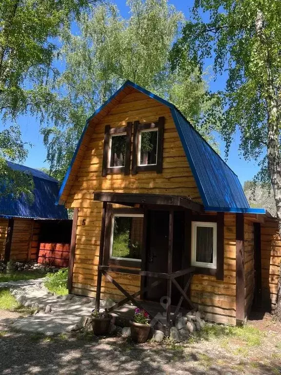 Дом в Алтай, Чемальский район, с. Чемал ул. Кедровая, 3 (40 м) - Фото 0