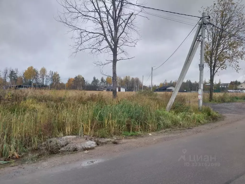 Участок в Ленинградская область, Всеволожский район, Колтушское ... - Фото 1