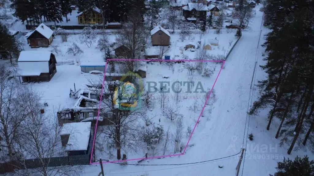 Участок в Ленинградская область, Тосненский район, Ульяновское ... - Фото 2