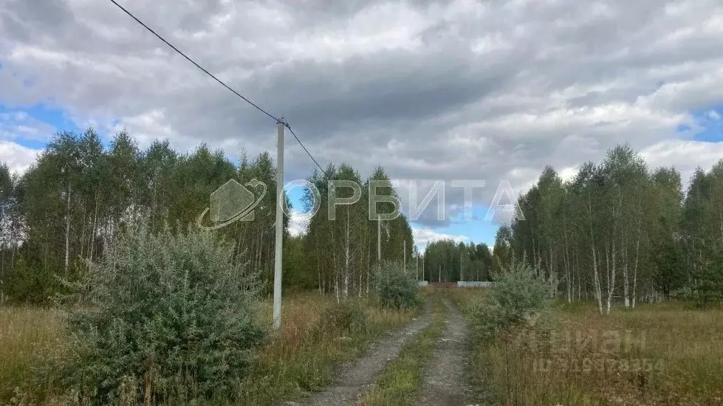 Участок в Тюменская область, Нижнетавдинский район, Царицыно СНТ ул. ... - Фото 0