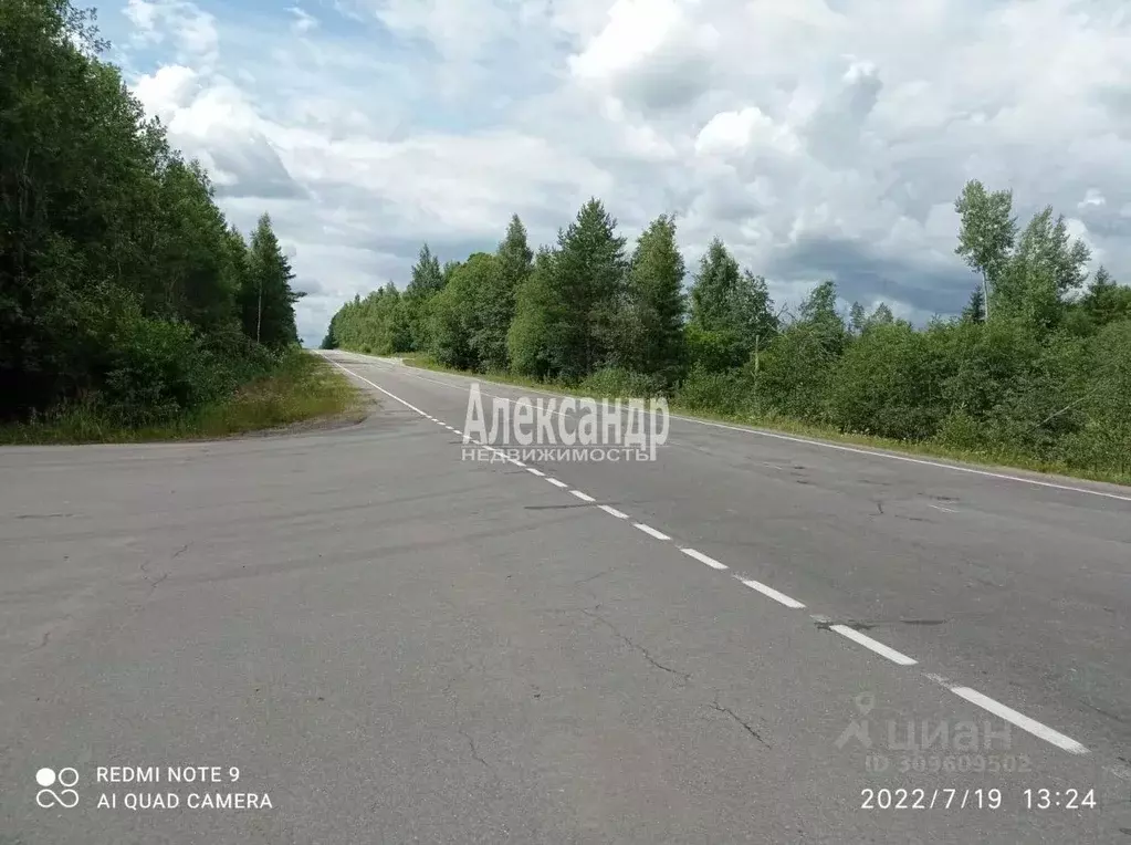 Участок в Ленинградская область, Приозерский район, Мельниковское ... - Фото 1