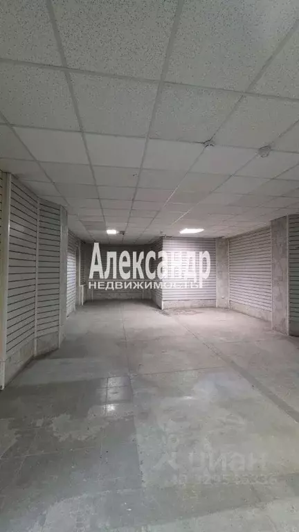 Торговая площадь в Санкт-Петербург Шлиссельбургский просп., 6к1 (60 м) - Фото 2