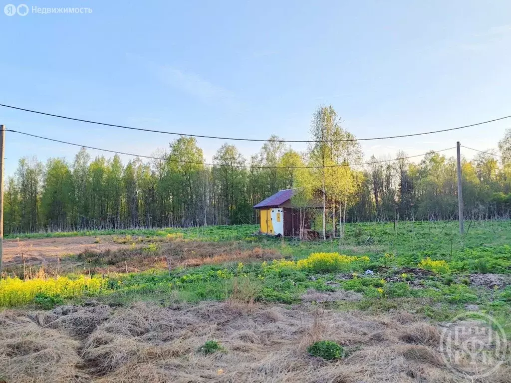 Участок в Выборгский район, посёлок Поляны (20 м) - Фото 1