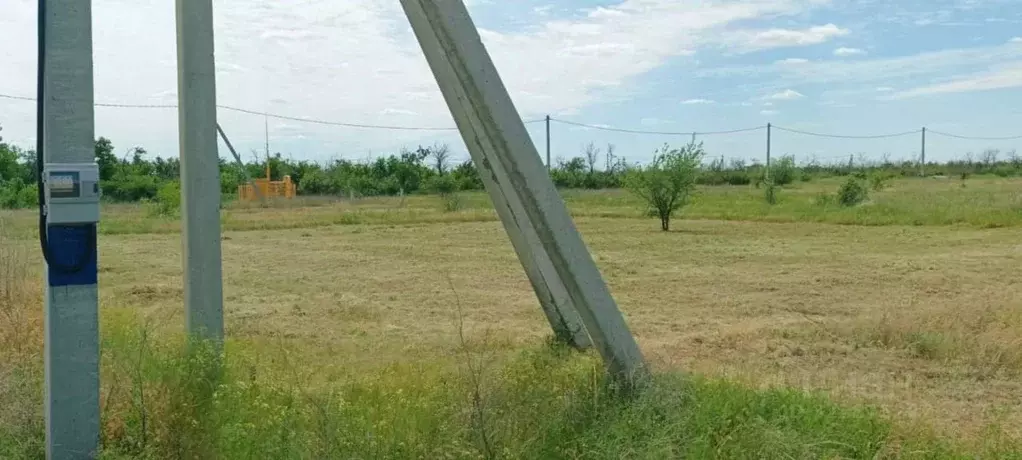 Участок в Волгоградская область, Волгоград Мускатная ул. (6.5 сот.) - Фото 2