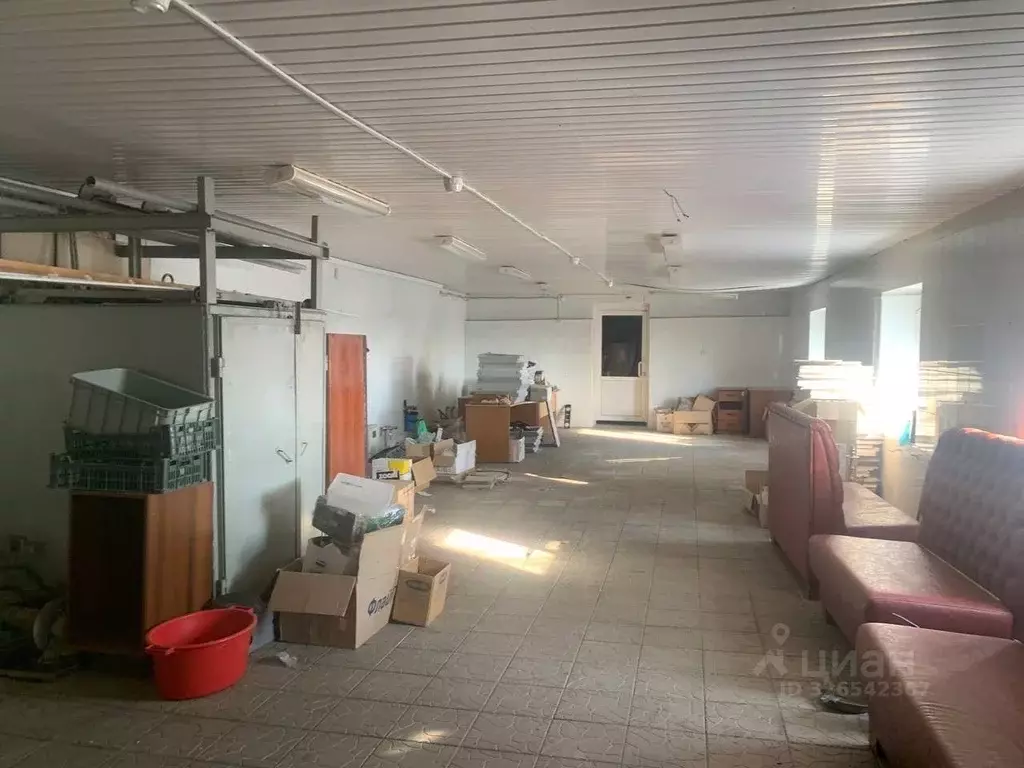 Помещение свободного назначения в Курская область, Курск ул. Пионеров, ... - Фото 1