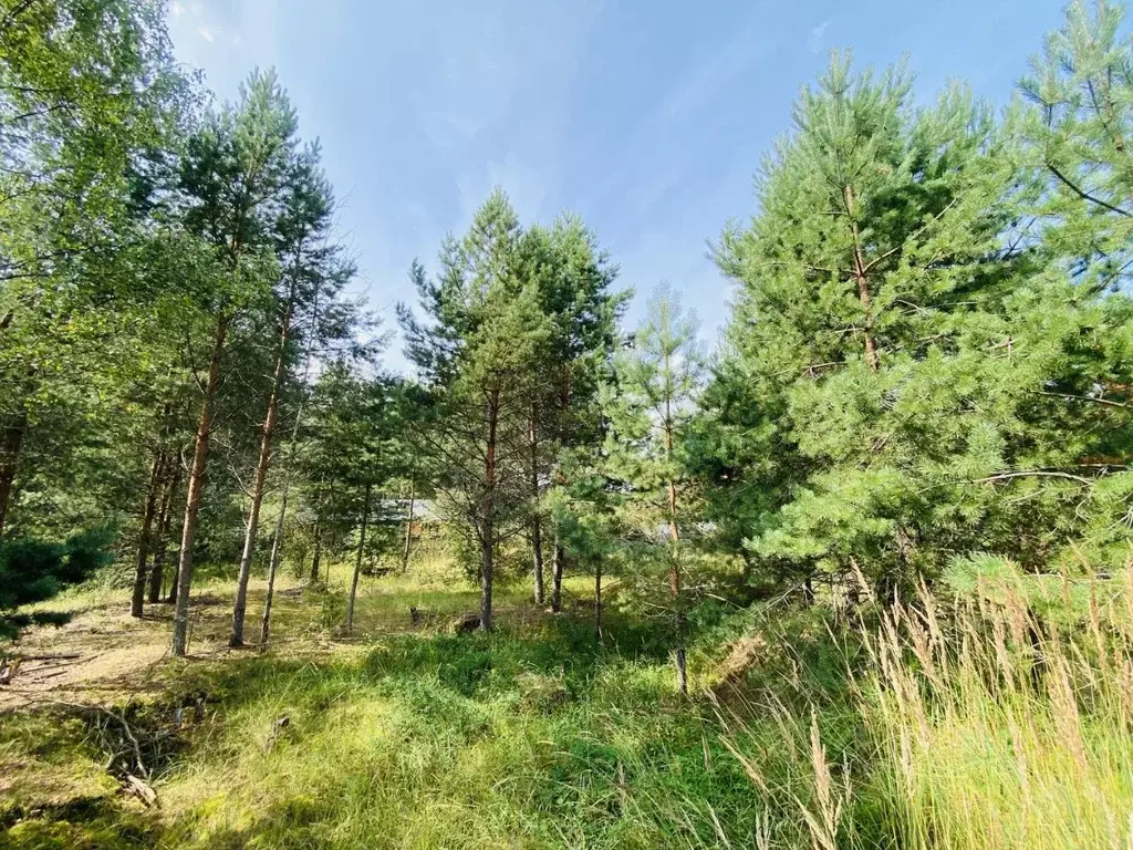 Участок в Ярославская область, Переславль-Залесский муниципальный ... - Фото 1