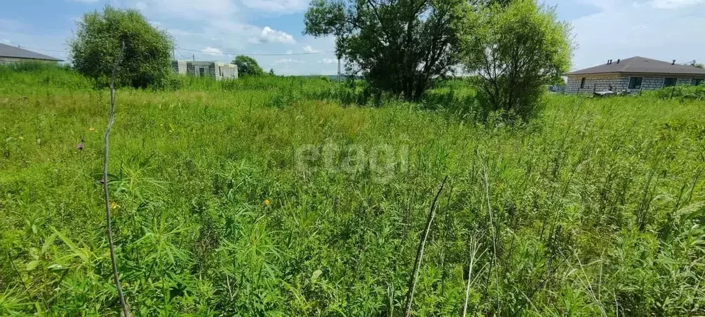 Участок в Приморский край, Надеждинский район, пос. Зима Южная ул. ... - Фото 1