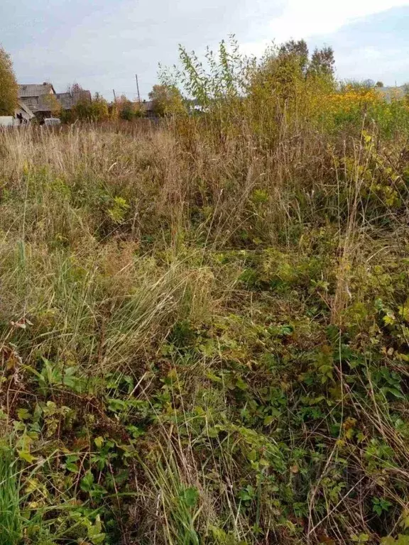 Участок в Пермский край, пос. Гайны  (28.98 сот.) - Фото 1