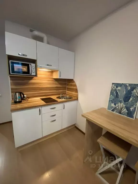 Студия Санкт-Петербург бул. Александра Грина, 3 (22.3 м) - Фото 1