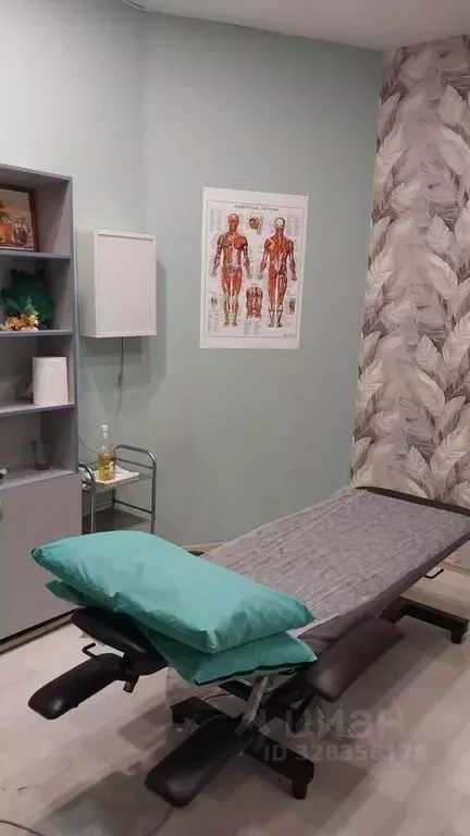 Офис в Новосибирская область, Бердск Морская ул., 26 (100 м) - Фото 1