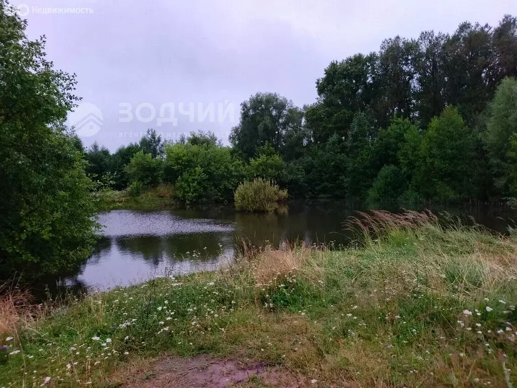 Участок в Шумерля, улица Герцена, 45 (12 м) - Фото 1