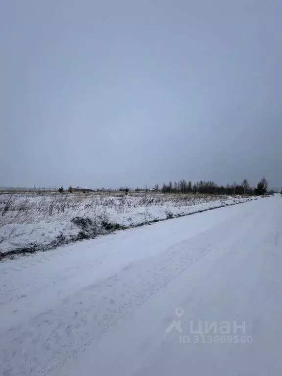 Участок в Татарстан, Арск муниципальное образование, с. Старый Айван ... - Фото 0