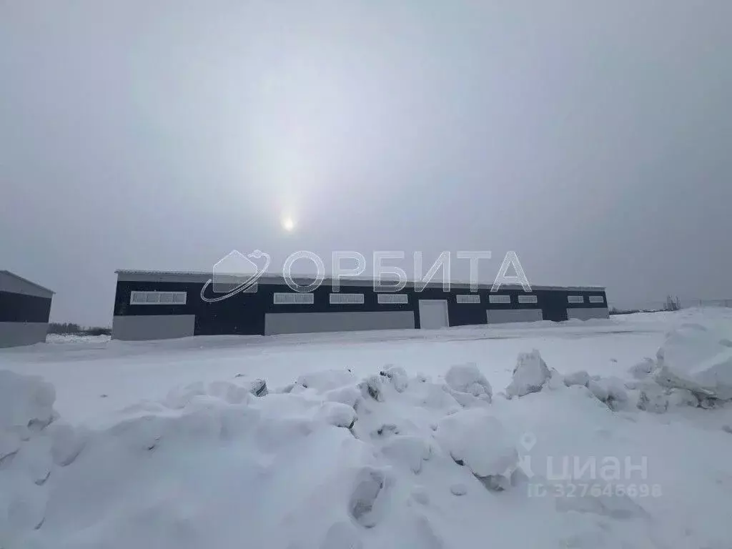 Производственное помещение в Тюменская область, Тюмень Велижанский ... - Фото 2