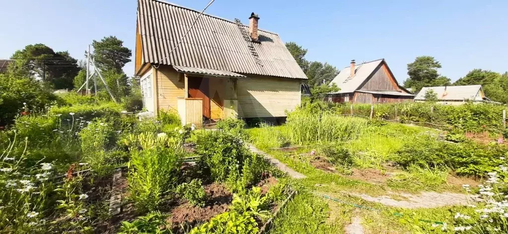 Купить Дачу Архангельск Через Агентство