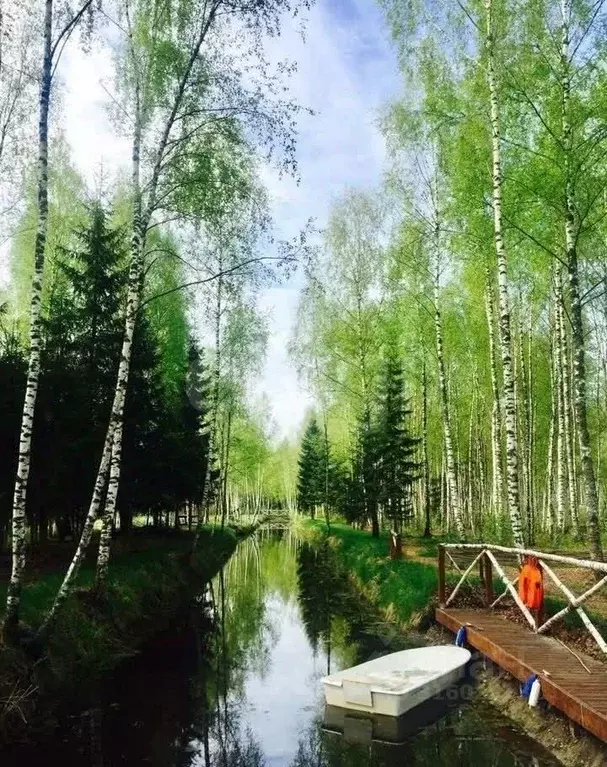 Участок в Московская область, Клин городской округ, Эколуга ТСН 34влА ... - Фото 1