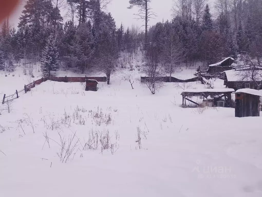 Участок в Алтай, Турочакский район, с. Артыбаш Кедровая ул. (20.0 ... - Фото 1