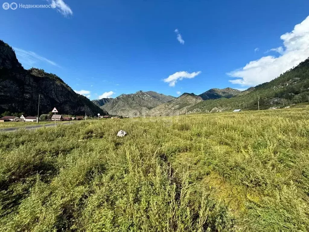 Участок в Чемальский район, село Еланда (9 м) - Фото 0