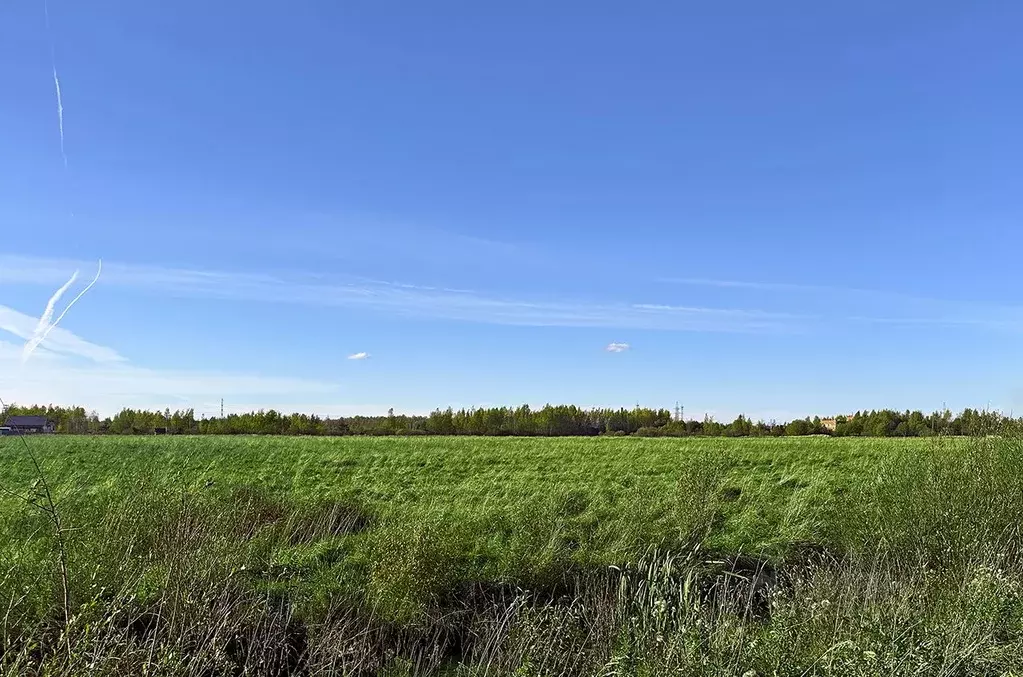 Участок в Санкт-Петербург, Санкт-Петербург, Петергоф ш. Ольгинское, ... - Фото 2