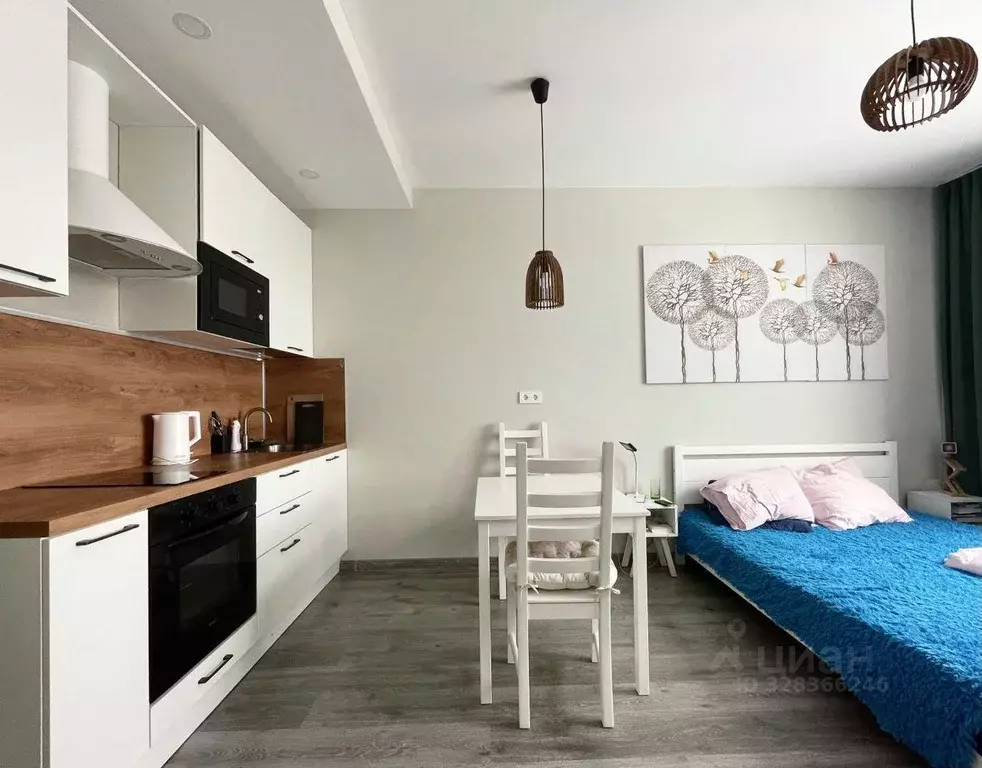 Квартира, студия, 27 м - Фото 2