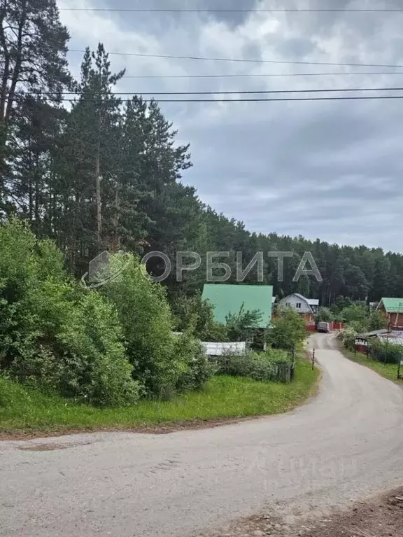 Дом в Тюменская область, Тюмень Дорожник СНТ, ул. Рябиновая, 64 (80 м) - Фото 2
