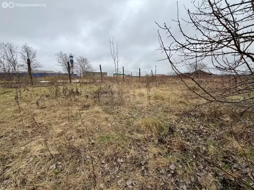 Участок в Семилукский район, Девицкое сельское поселение, СНТ ... - Фото 1