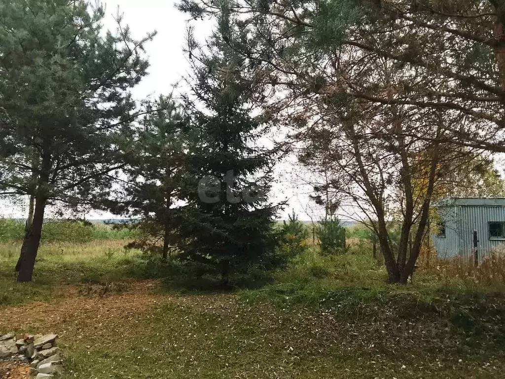 Участок в Калужская область, Дзержинский муниципальный округ, Дворцы ... - Фото 1