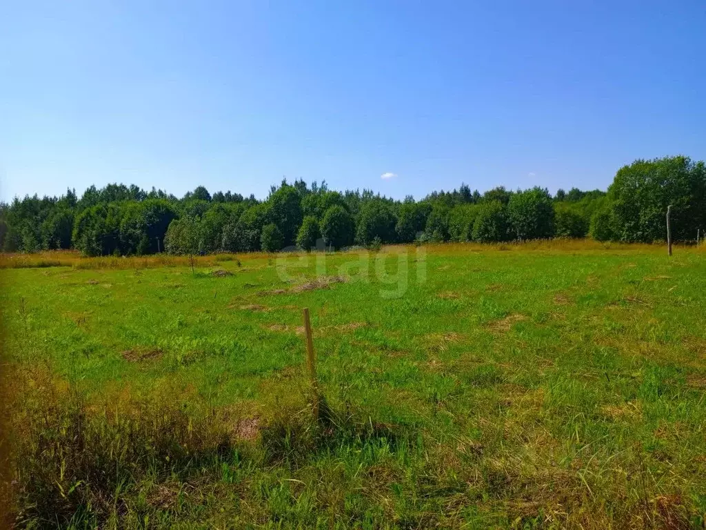 Участок в Вологодская область, Грязовец  (10.0 сот.) - Фото 1