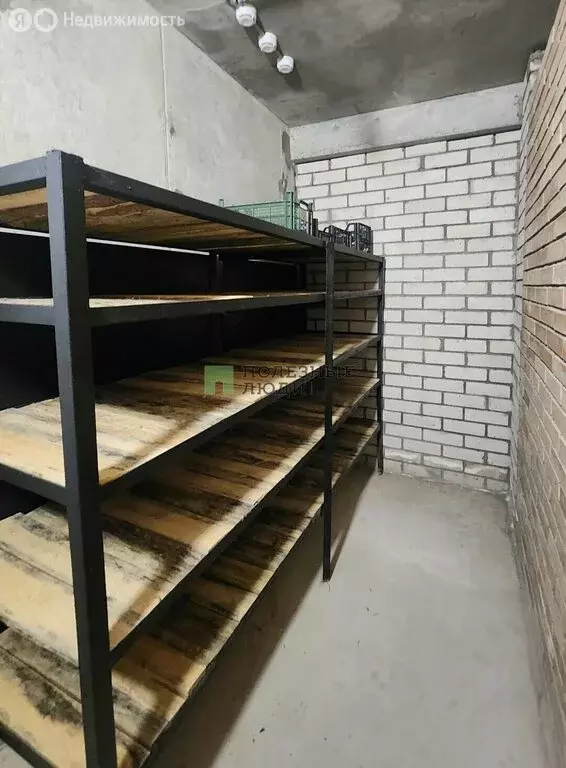 Помещение свободного назначения (4.8 м) - Фото 1