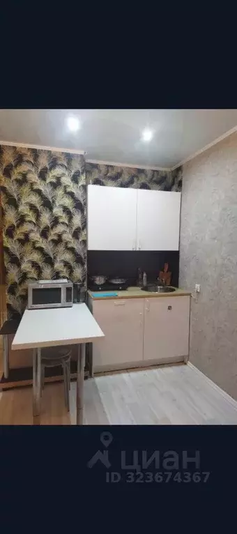 Студия Новосибирская область, Новосибирск ул. Виктора Уса, 13 (20.0 м) - Фото 2