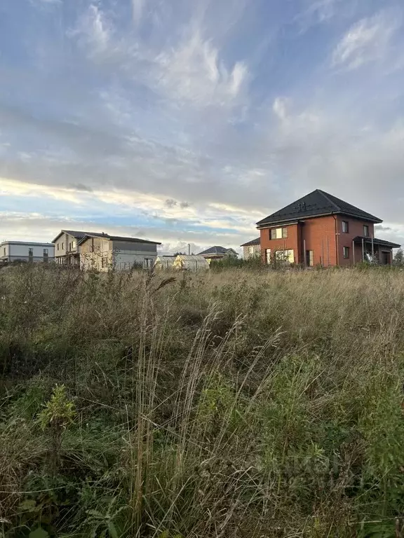 Участок в Ленинградская область, Ломоносовский район, д. Низино ул. ... - Фото 1