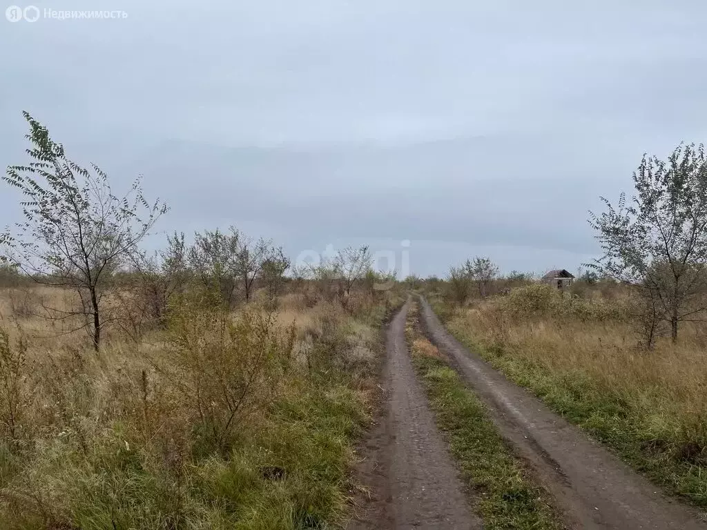 Участок в Усть-Абаканский район, село Зелёное (15 м) - Фото 0