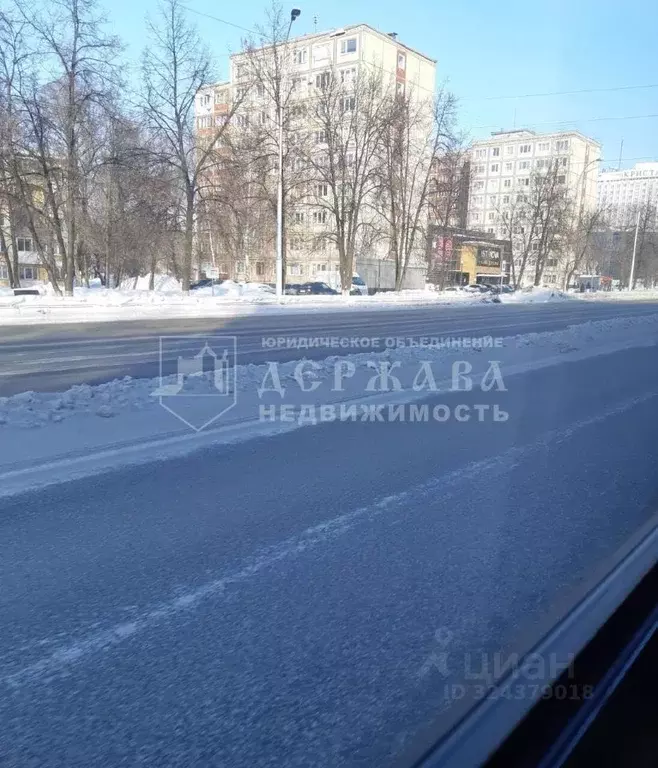 Студия Кемеровская область, Кемерово просп. Ленина, 88 (17.3 м) - Фото 1