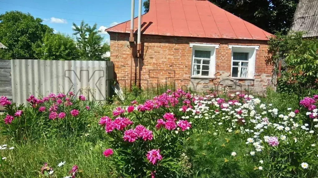 Участок в Белгородская область, Белгородский муниципальный округ, с. ... - Фото 1