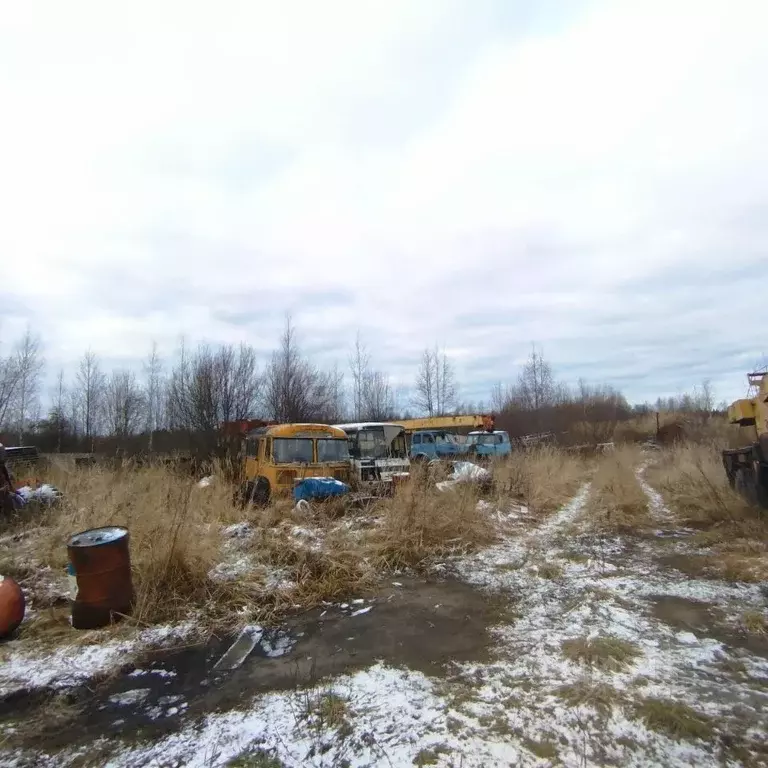 Участок в Костромская область, Ветлужский пгт ул. Труда, 59 (1409.0 ... - Фото 1