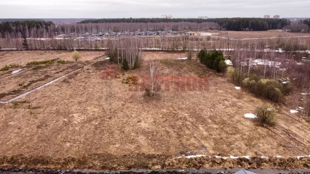 Участок в Московская область, Богородский городской округ, д. Пешково  ... - Фото 1