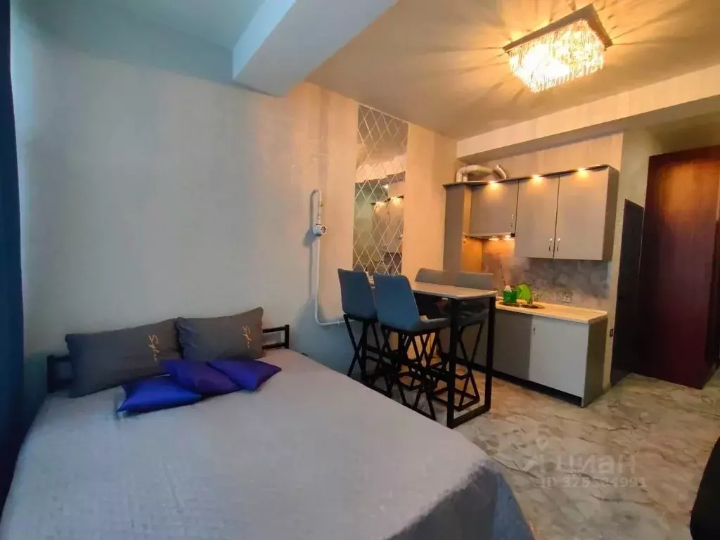 Студия Краснодарский край, Сочи Мамайка мкр, ул. Фадеева, 32/1 (19.4 ... - Фото 1