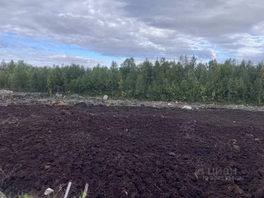 Участок в Мурманская область, Кольский район, Город Кола городское ... - Фото 2