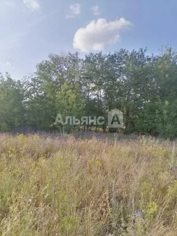 Участок в Ростовская область, Белокалитвинский район, пос. Коксовый ... - Фото 2