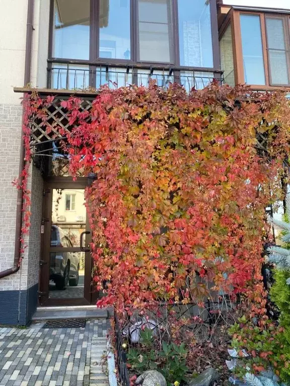 Таунхаус в Хабаровский край, Хабаровск Лукашово-3 кп, (251.2 м) - Фото 1